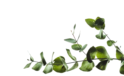 Листья справа