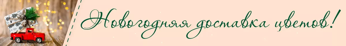 Цветы на Новый год