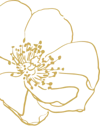 Лилия слева снизу