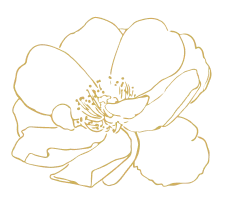 Лилия справа снизу