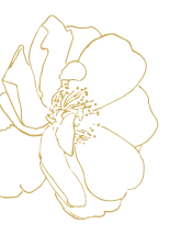 Лилия слева сверху