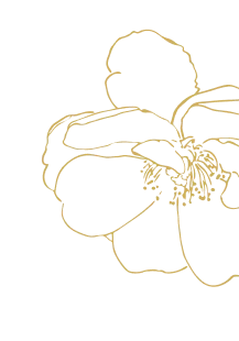 Лилия справа сверху