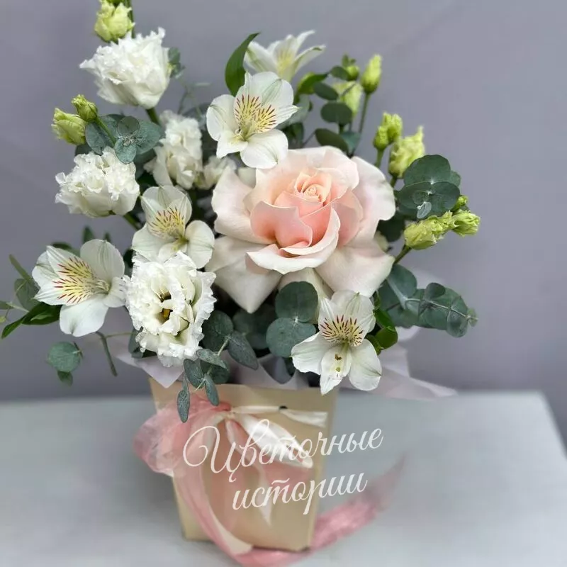 Воздушный  1