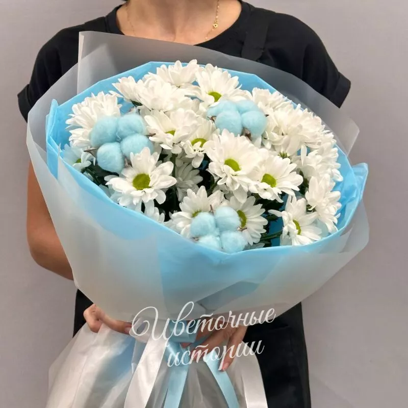 Пышное облако 2