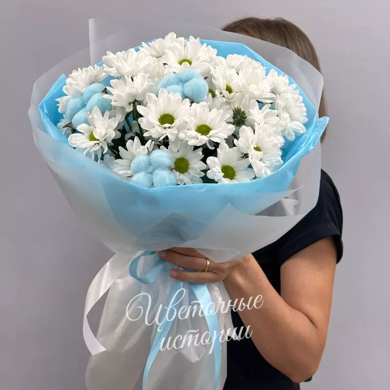 Пышное облако 1