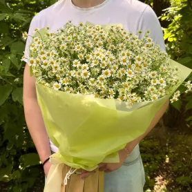 Солнечный привет от интернет-магазина «Цветочные истории»