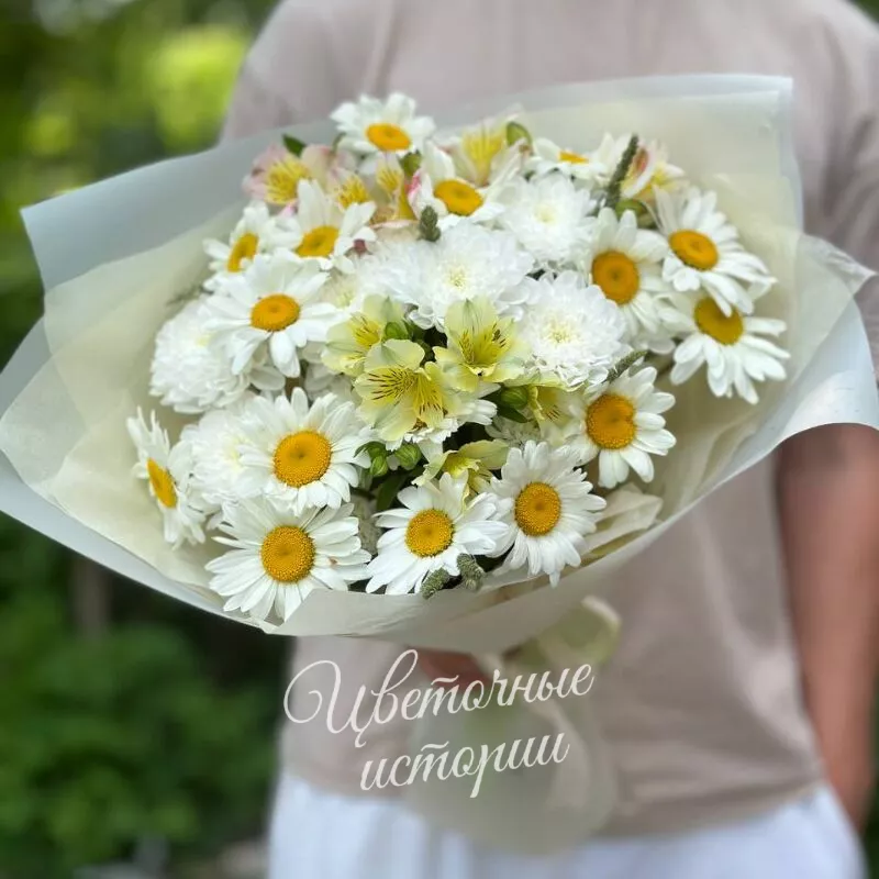 Лучики солнца