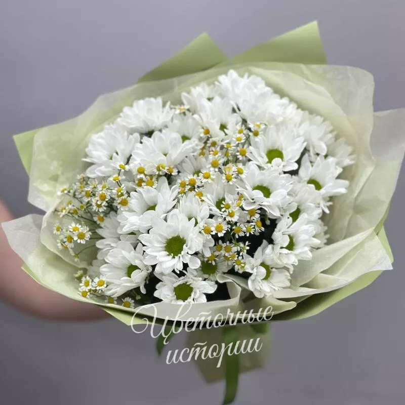 Белоснежное Утро