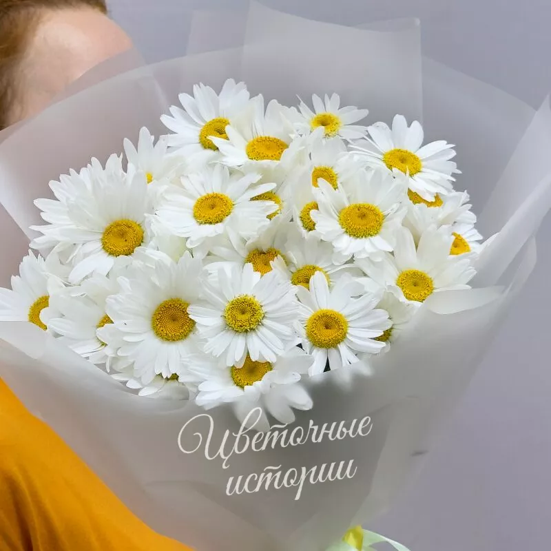 День ромашек