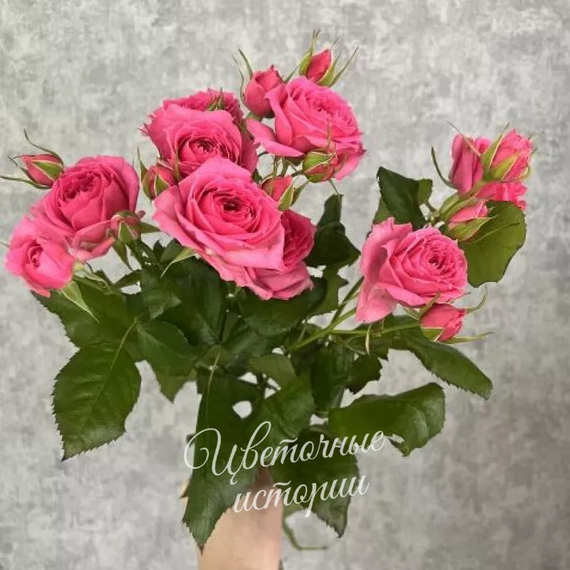 Букет &laquo;Подписка Цветы для дома&raquo;