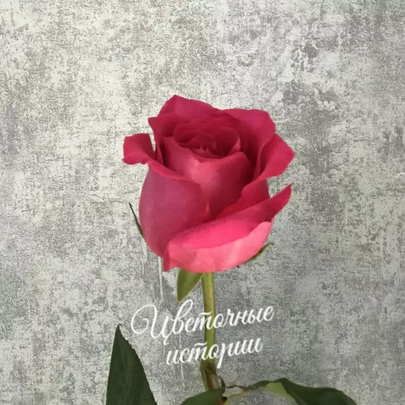 Букет &laquo;Подписка Розы для дома&raquo; 1