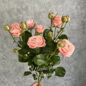 Букет &laquo;Подписка Розы для дома&raquo; от интернет-магазина «Цветочные истории»