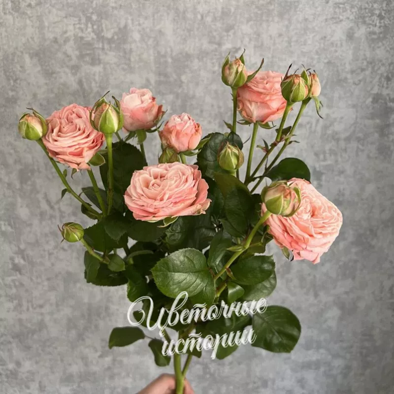 Букет &laquo;Подписка Розы для дома&raquo;