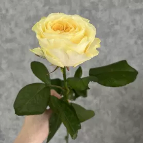 Букет &laquo;Подписка Лето для дома&raquo; от интернет-магазина «Цветочные истории»