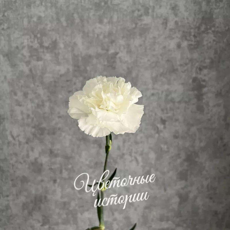 Букет &laquo;Лизиантус &raquo; 3