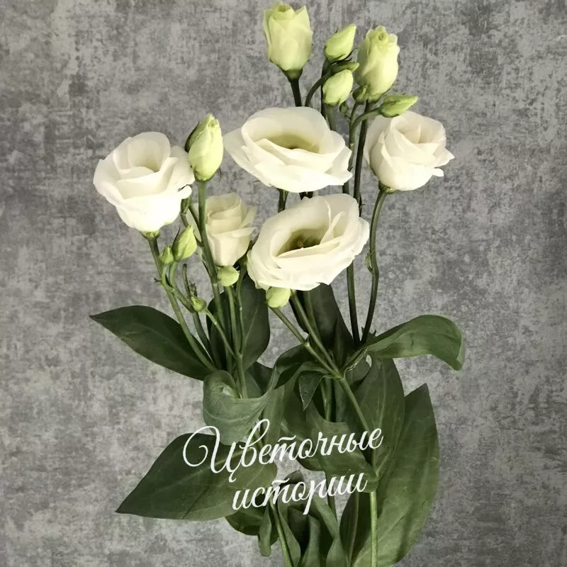 Букет &laquo;Лизиантус &raquo;