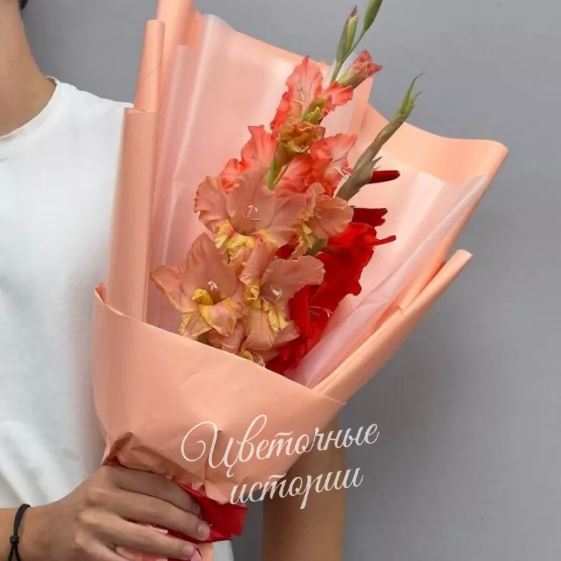 Чудесные гладиолусы (ЦВЕТ ПО НАЛИЧИЮ) 2