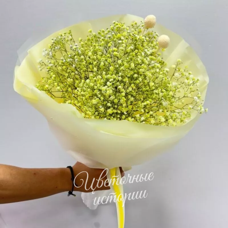 Школьная жизнь (цвет по запросу) 2