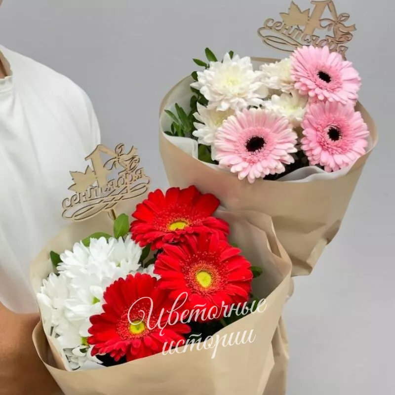 1 Сентября!(цвет по запросу)