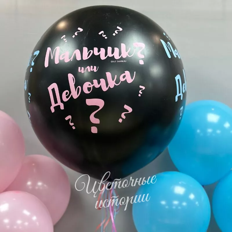 Шар на гендер-пати