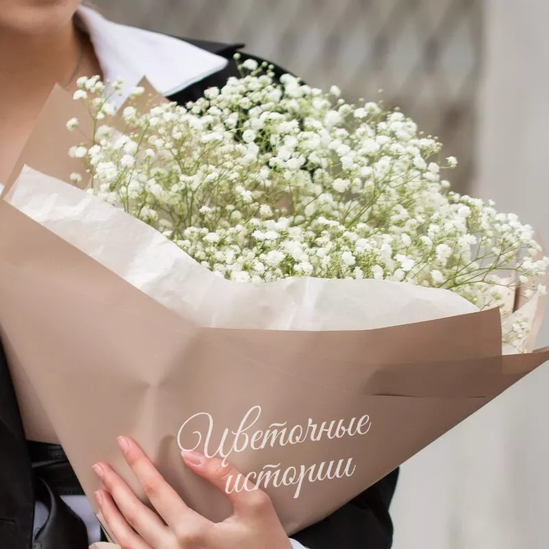 Воздушная гипсофила 4