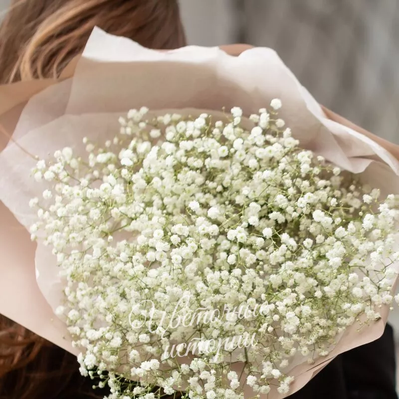 Воздушная гипсофила 3