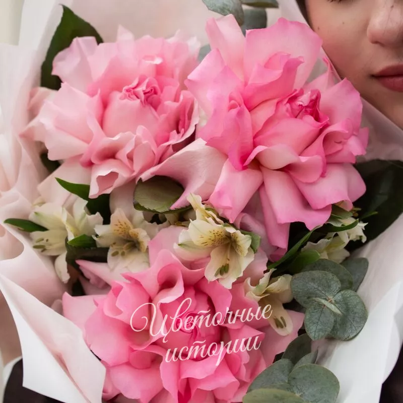 Любимые француженки. 2