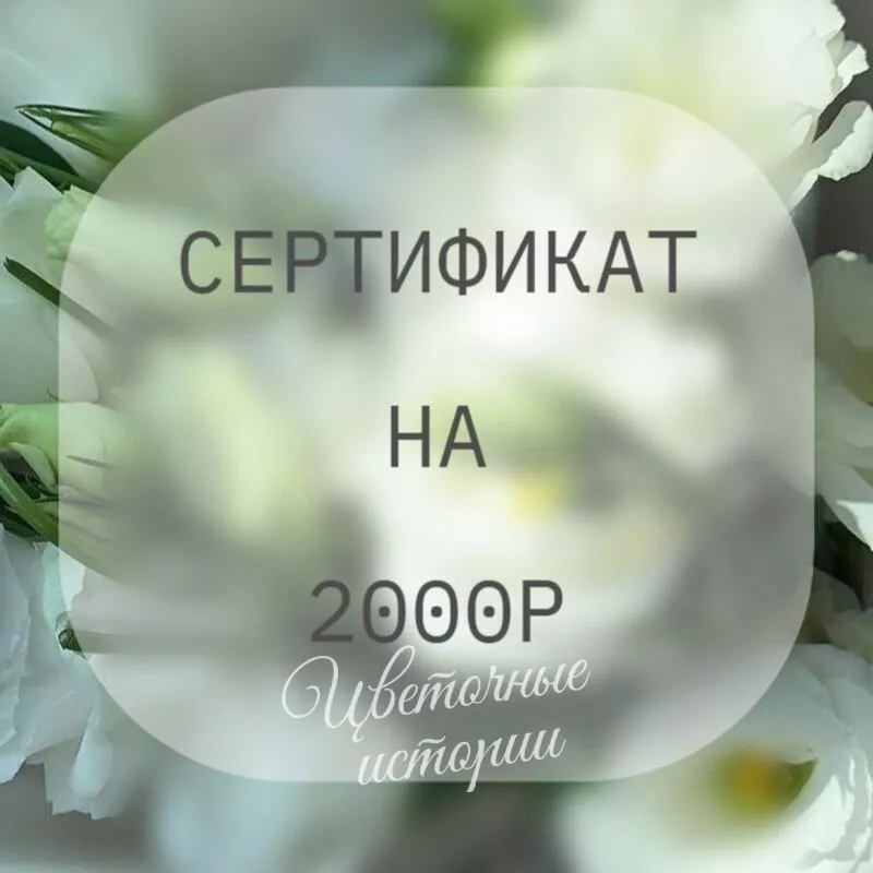 Сертификат на 2000р