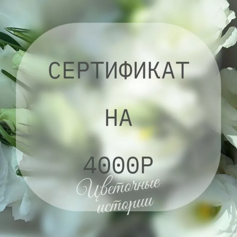 Сертификат на 4000р