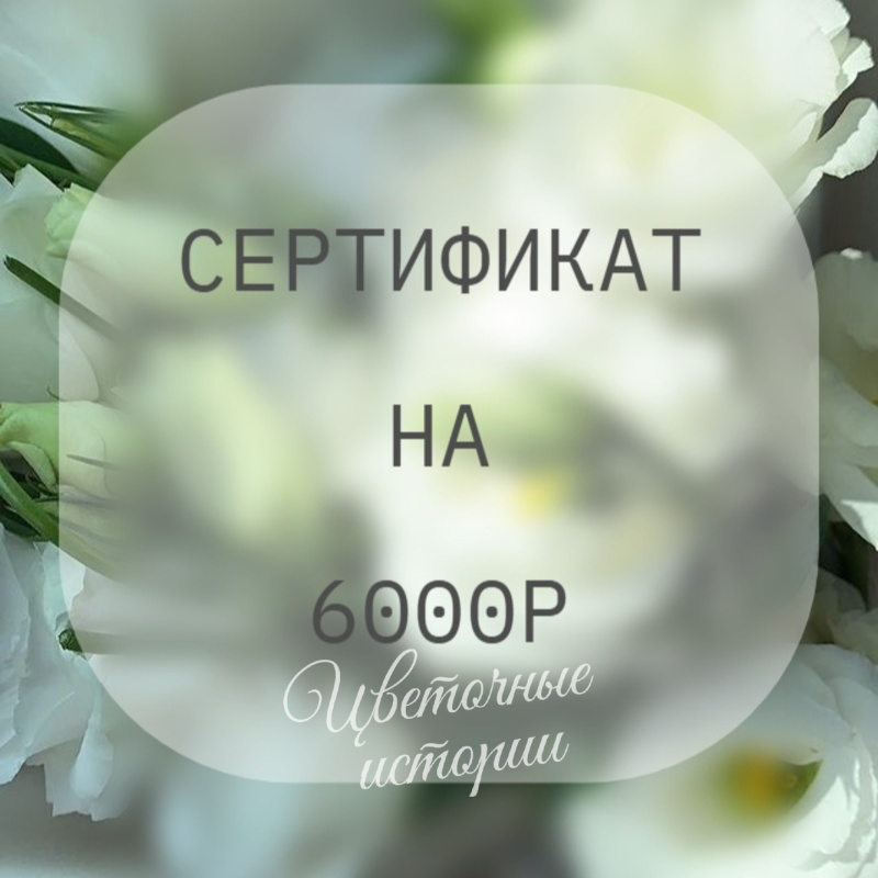 Сертификат на 6000р