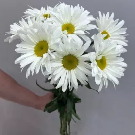 Ромашка от интернет-магазина «Цветочные истории»