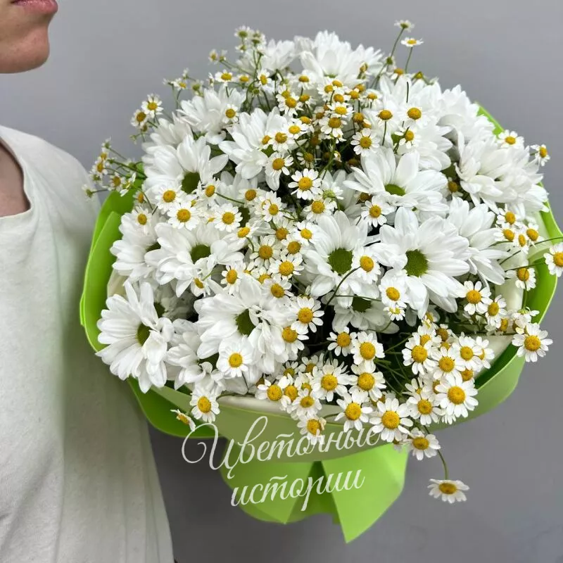 Летний поцелуй 3