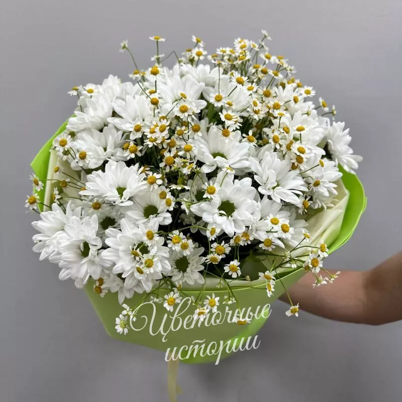 Летний поцелуй 1