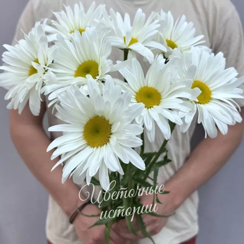 Букет из 7 ромашек 2