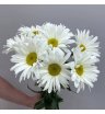 Букет из 7 ромашек 1