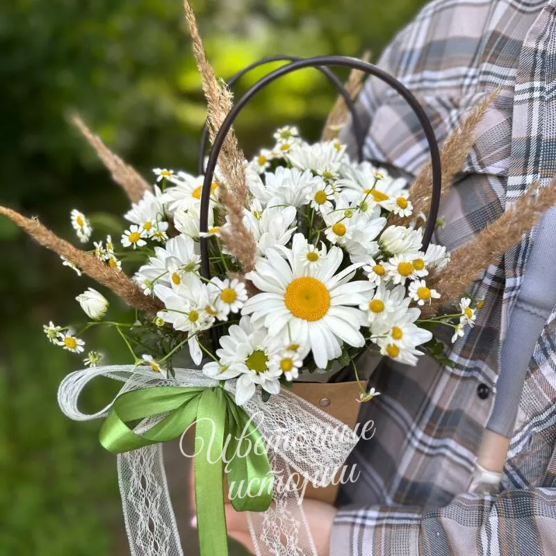 Сумочка ромашек