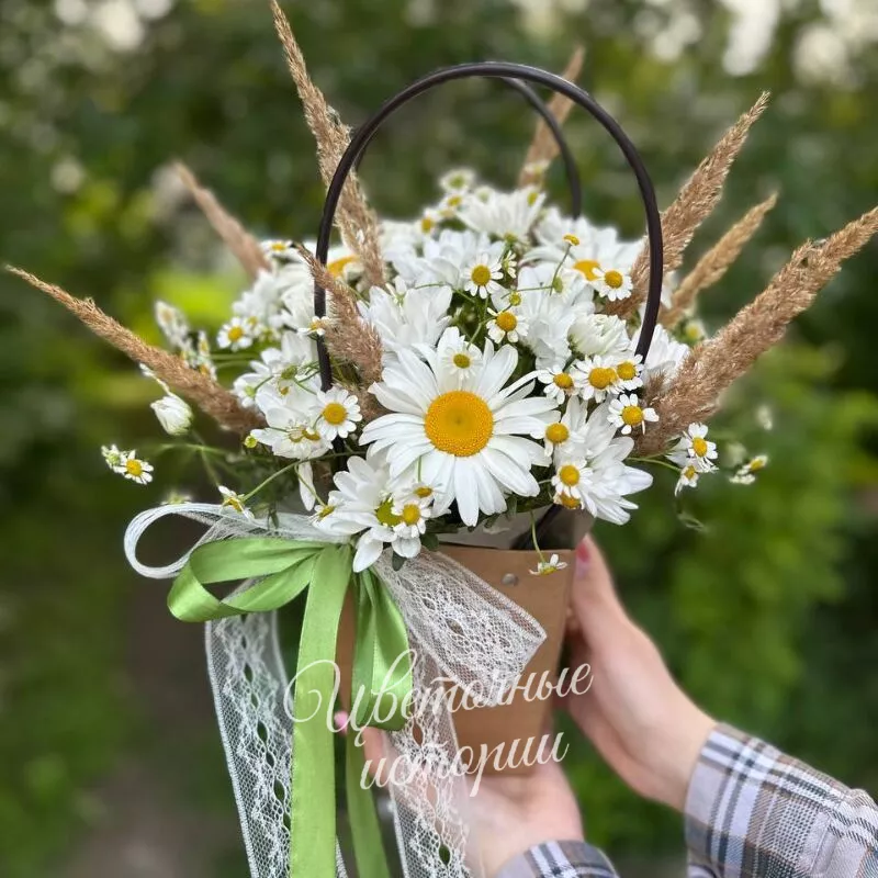 Сумочка ромашек 1