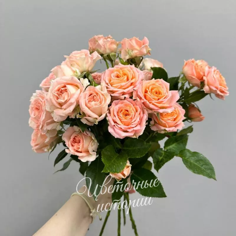 Кустовая роза нежная 2