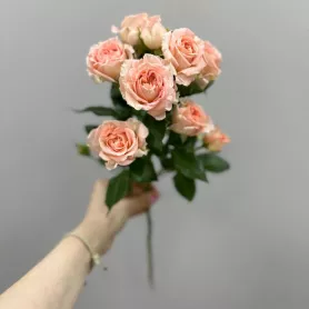 Кустовая роза нежная от интернет-магазина «Цветочные истории»