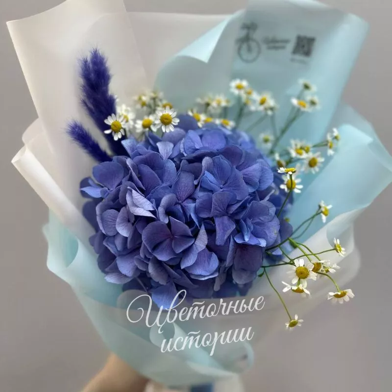 Летняя гортензия 3