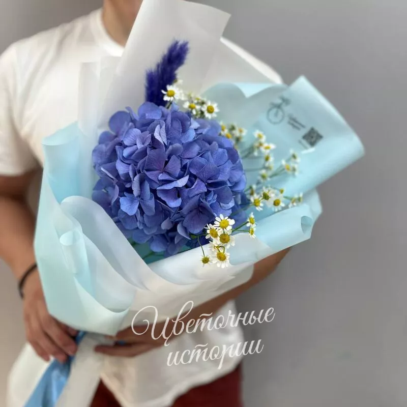 Летняя гортензия 1