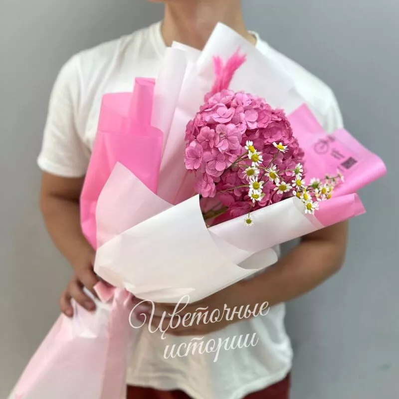 Летняя гортензия 2