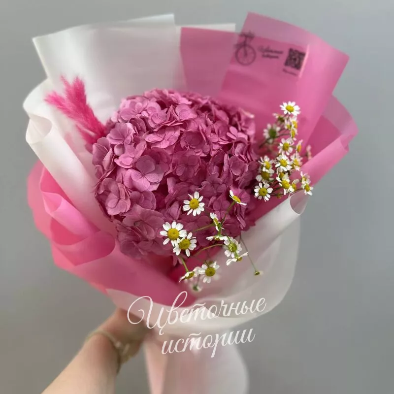 Летняя гортензия 4