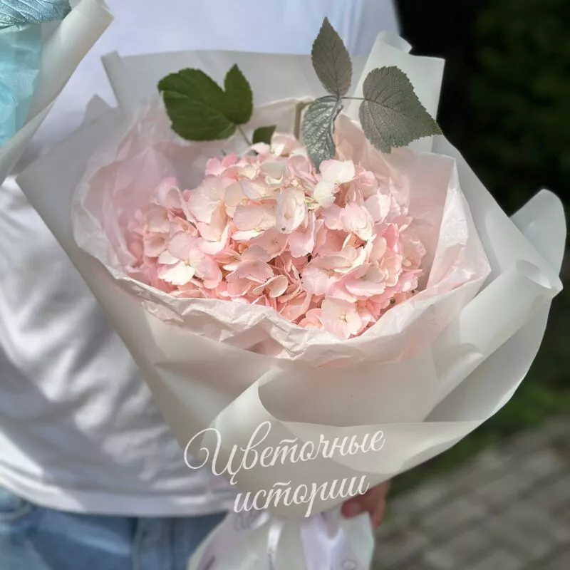 Комплимент осени 2