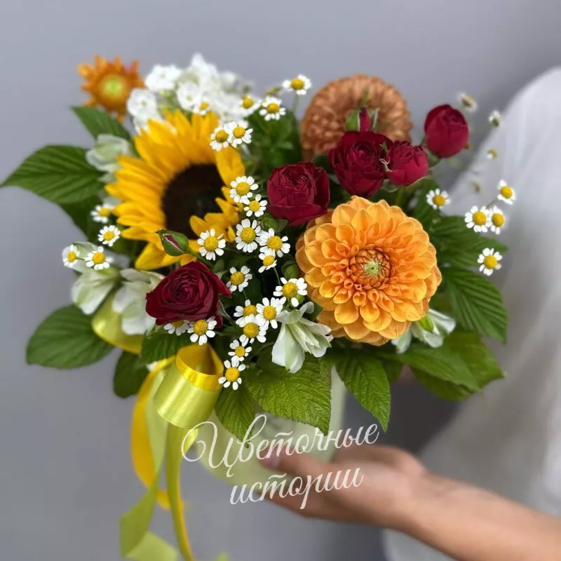 Сияние сентября 1