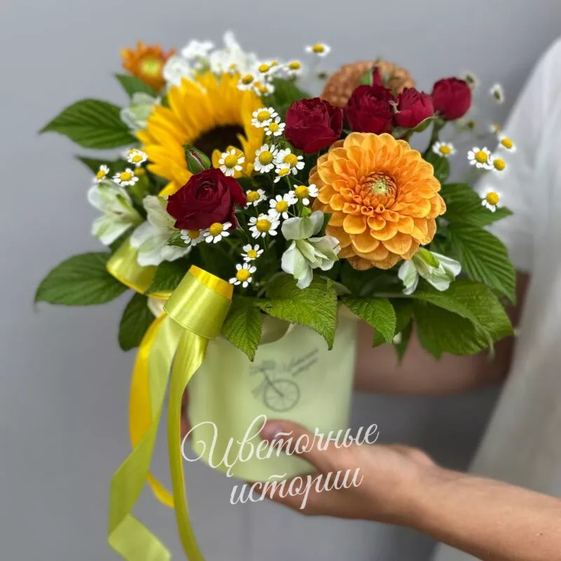 Сияние сентября