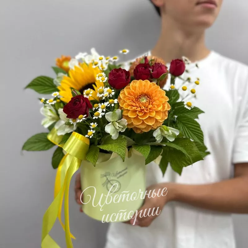 Сияние сентября 2