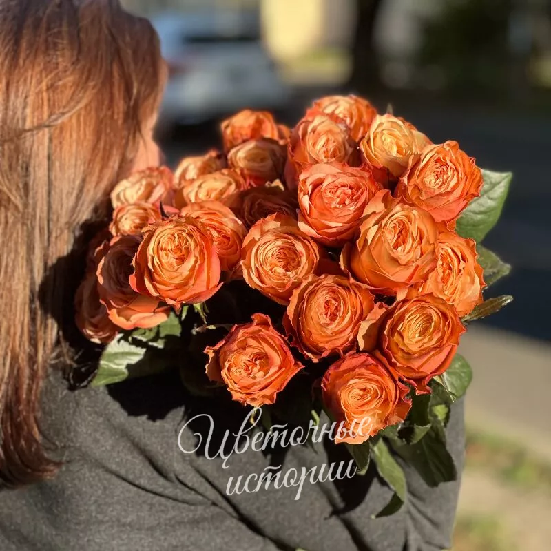 Роза кахала персиковая 3