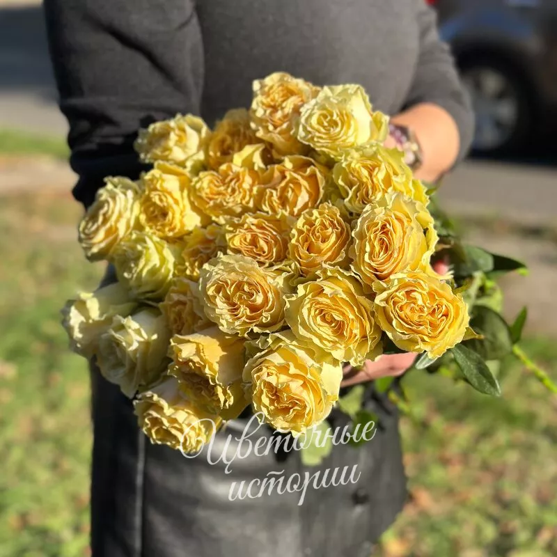 Роза пионовидная сливочная 1