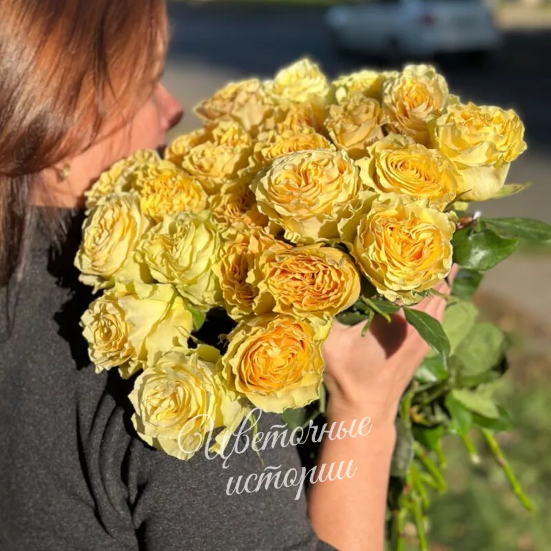 Роза пионовидная сливочная